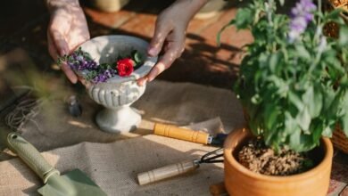 enhance growth with digital