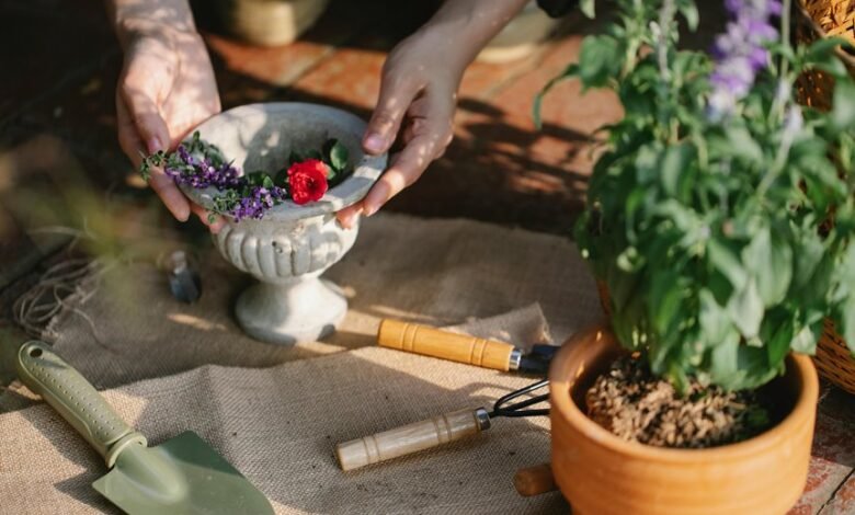 optimize growth with digital tools